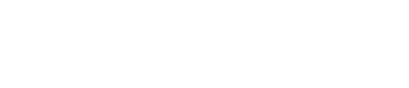 Segmind White Logo