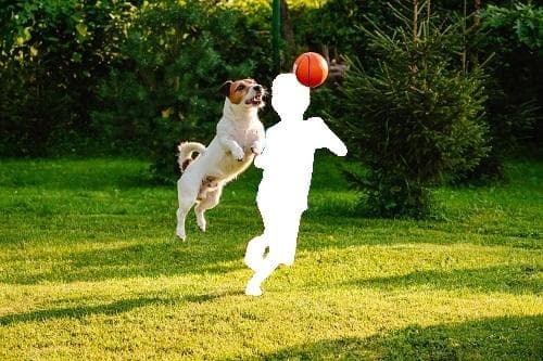 Default output example