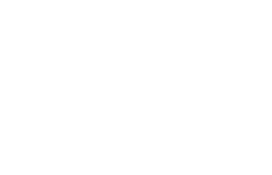 bria logo